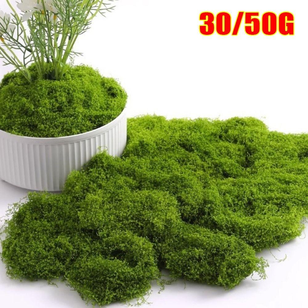 1Set Flower Moss Green Moss Ornaments Micro Landscape Fake Grass Durable Simulation Moss