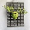 Thickened Planting Board Dendrobium Gardening Hanging Board Black Staghorn Fern Board