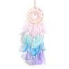 Dream Catcher with Bright Light Colorful Feathers Hand Woven Wall Hanging Dream Catcher Decor for
