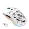 ZIYOU LANG T66 Wireless Gaming 1000Hz Report RGB DPI White Mouse, Rate, Illumination, 5-Level Adjustment, 90g,