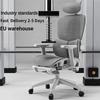 Ergonomic Office Chair, Mesh Office Chair with High Backrest, Swivel Desk Chair with Adjustable Lumbar Support, Home Computer Gaming Chair