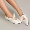 Women's Low-heeled Single Shoes Spring and Summer New Fashionable Small Pointed Large-size Lace-up Low-top Shoes