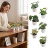 Green Green Plant Potted White Flowerpot Simulation Plant Potted Creative Desktop Ornament  Gift