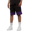 NBA Color Block Short Lakers, мужские черные шорты