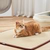 Clean Up Mat (Large/Beige) Cat Toilet Desertification Prevention Sand Mat Footrest