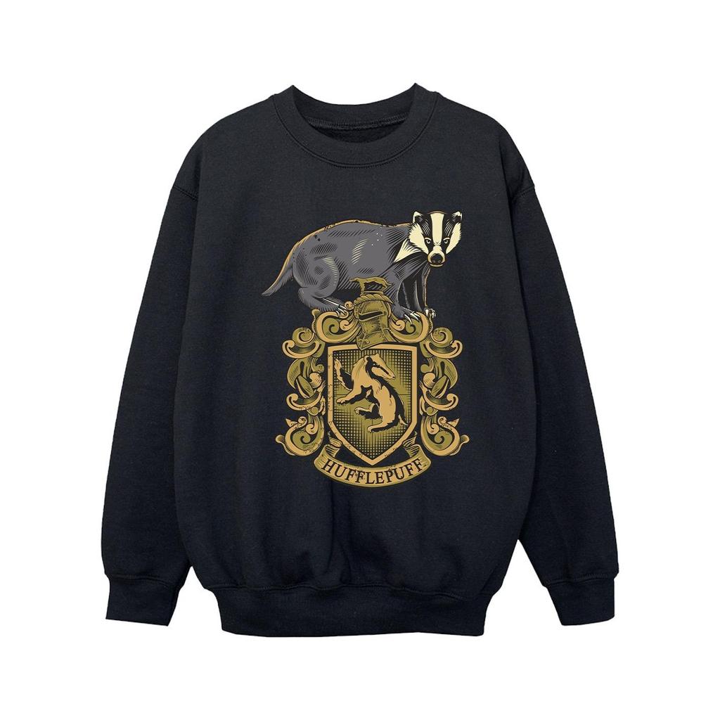 Harry Potter Girls Hufflepuff Sketch Crest Sweatshirt