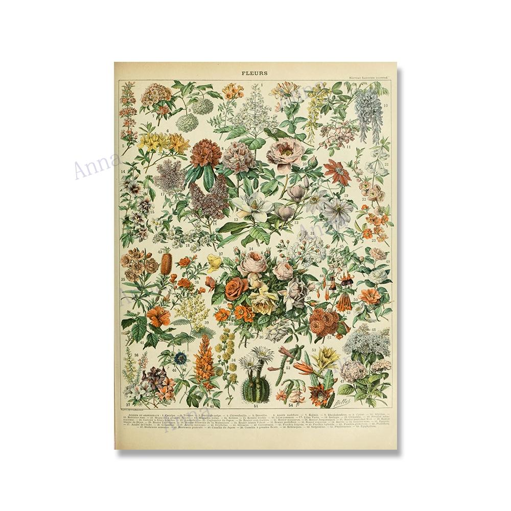 Adolphe Millot Encyclopedia Poster Fruit Botanical Mushrooms Herbs Flowers Canvas Paintings Print Vintage Wall Art Room Decor