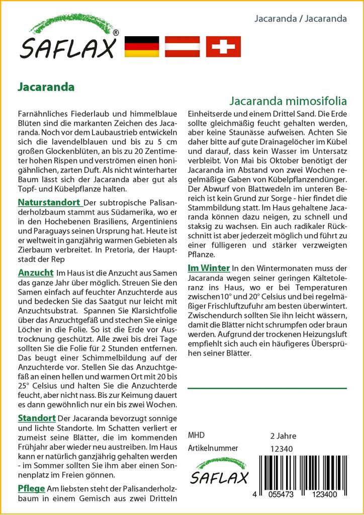 SAFLAX Jacaranda - 50 семян - С горшечным субстратом для лучшего выращивания - Jacaranda mimosifolia