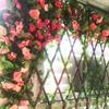 Fake Flower Vine Eco-friendly Anti-deform 6 Colors Rose Flower Vine Decor for Household