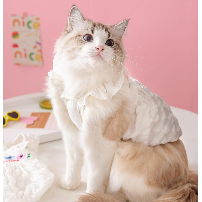 Тюльпан, пузырь, тыква, питомец, весна и лето, тонкие подтяжки, юбка, щенок, котенок, одежда длиной в две ноги.