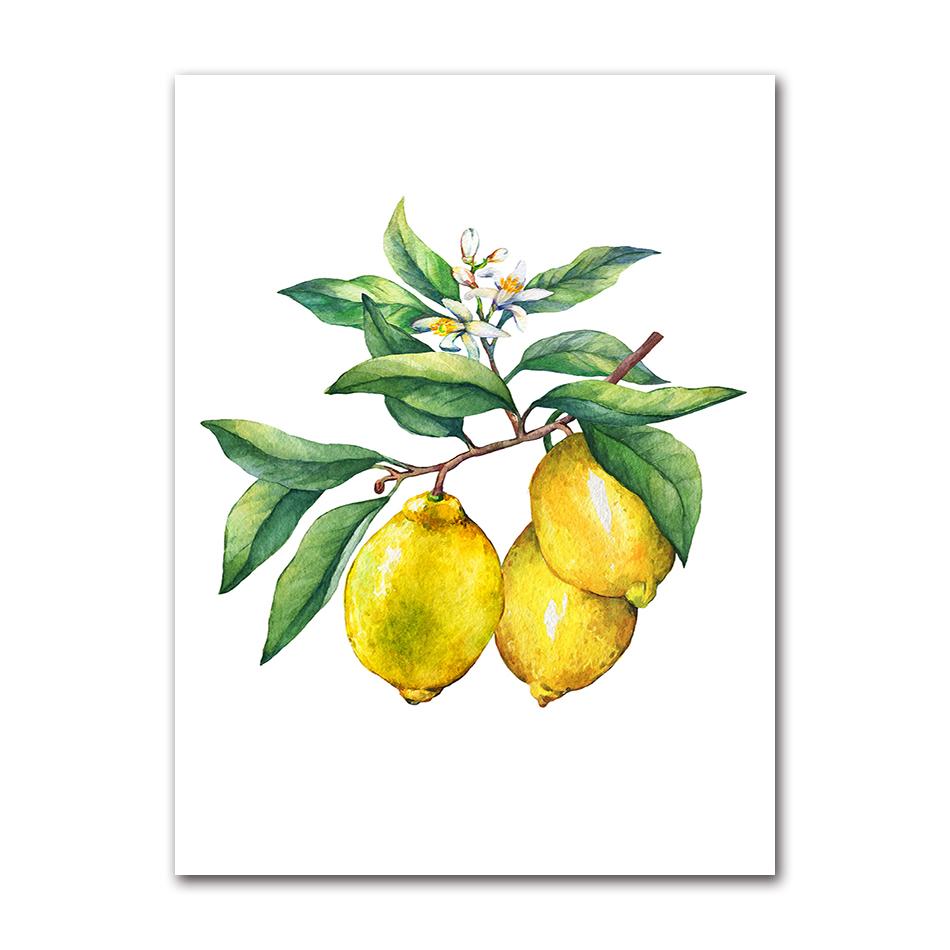 Bonsai Canvas Painting Art Blue White Willow Style Lemon Poster Kitchen Decor Lemon Print Planter office decoration