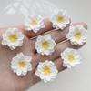 10Pcs Pure White Flower Resin Flat Back Diy Wedding Decoration Flower Shaped Scrapbook Jewelry Making Accessories