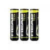 Head Team Tennis Balls (Pack of 12)