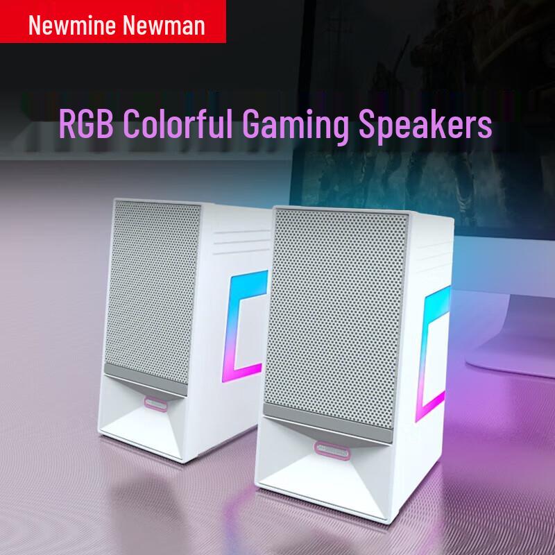 NEWMINE V4 Bluetooth 5.3 RGB Desktop Speakers CN plug (adapter included)