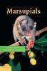Книга Marsupials