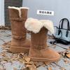 Soft Leather Version~ Two Wear Snow Boots Women's 2024 New Winter Thick-soled Velvet Thickened Boots Warm Snow Cotton