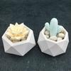 3D Succulent Plant Flower Pot Silicone Mold Gypsum Cement Mini Flower Bonsai DIY Candle Hold
