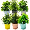 Plastic 6 Packs Fake Plants Small, Mini Artificial Plants Indoor For Home Farmhouse Bathroom Shelf Décor (Multi, Height : 17Cm)