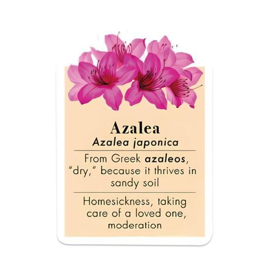 50 шт., водонепроницаемые наклейки с рисунком цветка и листьев, граффити, водонепроницаемые, устойчивые к выцветанию, водонепроницаемые наклейки для ноутбука, украшение для детского подарка