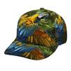 PD to picture a custom American eagle duck tongue baseball cap full-width printing JIT