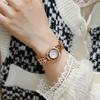 New Small Square Watch Steel Band Light Luxury Niche Women's Watch Simple Temperament Women's Bracelet Watch for Women