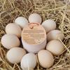 50 шт. Карточки с инструкциями по обращению со свежими фермерскими яйцами, Штампы для яиц для ухода за яйцами, Картонные коробки для яиц, Карточки в стиле формы яиц