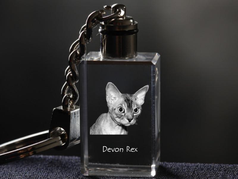 Devon Rex – Crystal pendant with cat photo, illuminated pendant | Art-Dog