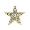 Sparkling Star/Pin Brooch/Star/Label Pin/KS34001 (Gold Color)