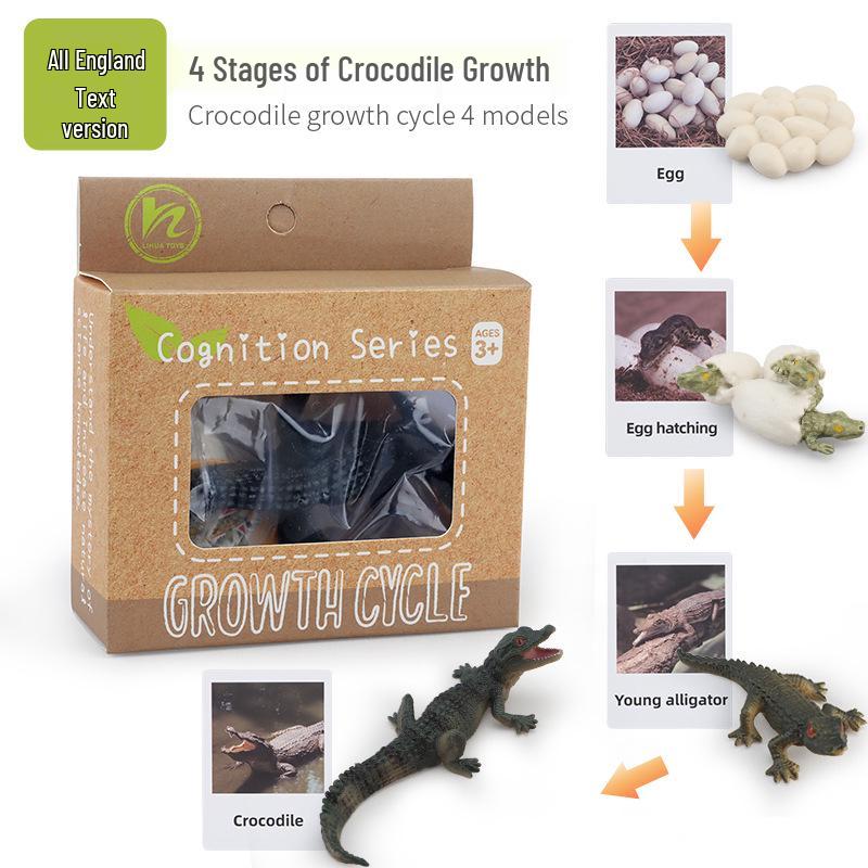 Montessori Animal & Plant Growth Cycle Teaching Toys for Kids