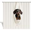 Классические Смешные Шторки для Душа - Такса, Отдыхающая на Белой Подвешенной Ткани, Полиэстеровая Ткань, Набор для Декора Ванной Комнаты с Крючками - 72X72 Дюйма