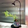 Micro Landscape Plant Growth Lamp with Timmer Height Adjustable Flicker Free Sunlight-like Spectrum Indoor LED Plant Lamp