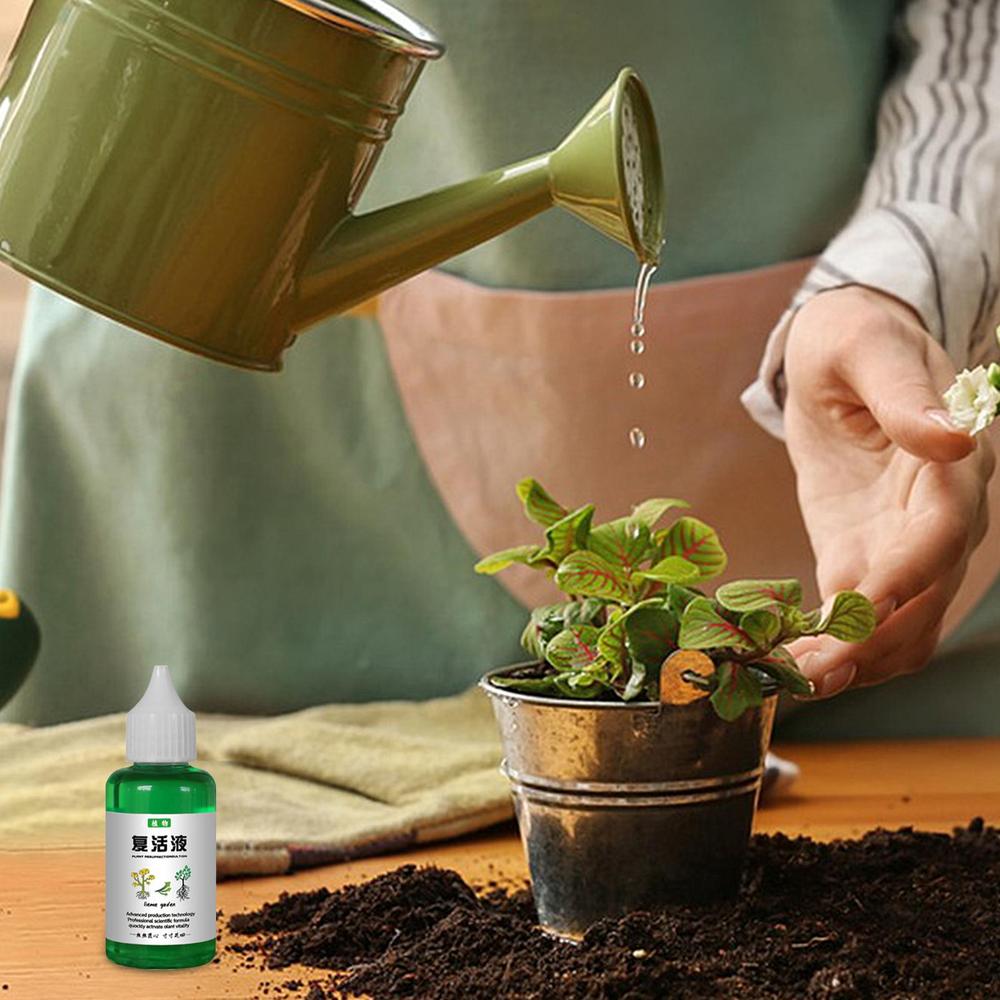 Plant Nutrients Liquid 50ml Outdoor and Soil Growing Plant Food Fertilizing Liquid Concentrate Plant Resurrection Liquid Fertili