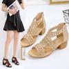 Ladies' Sandals 2025 Summer New Style Coarse Heel Hollow Fish Mouth Rear Zipper Ladies' Sandals