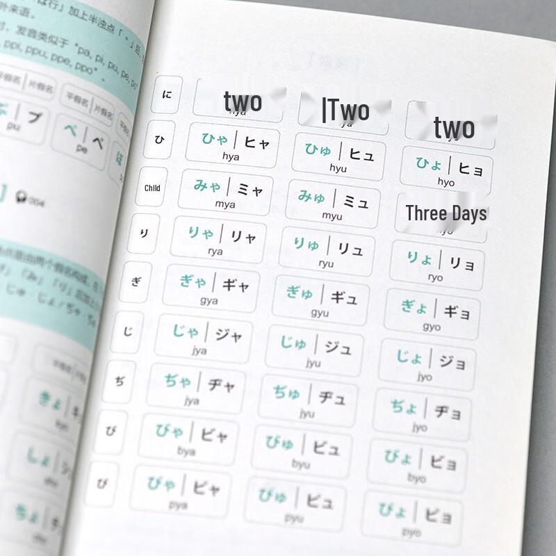 Micro Japanese: Rapid Learning Book