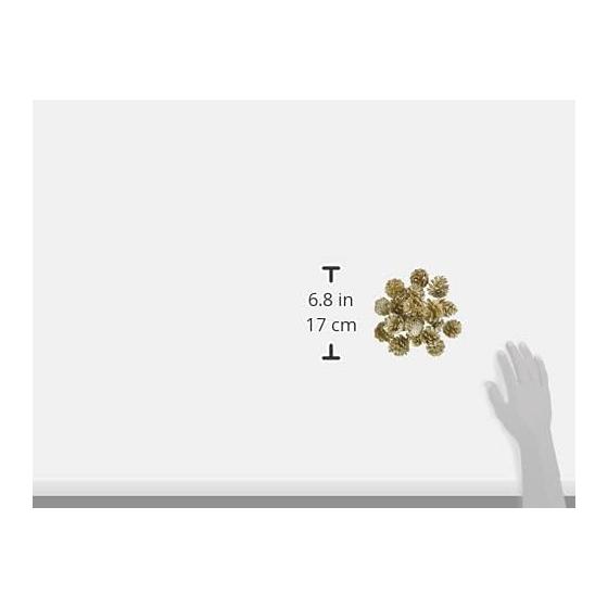 TOKA Dried Flowers Small Pine Cone Platinum Gold Approximately L3.0~4.0cm 20pcs DT074335-zzz