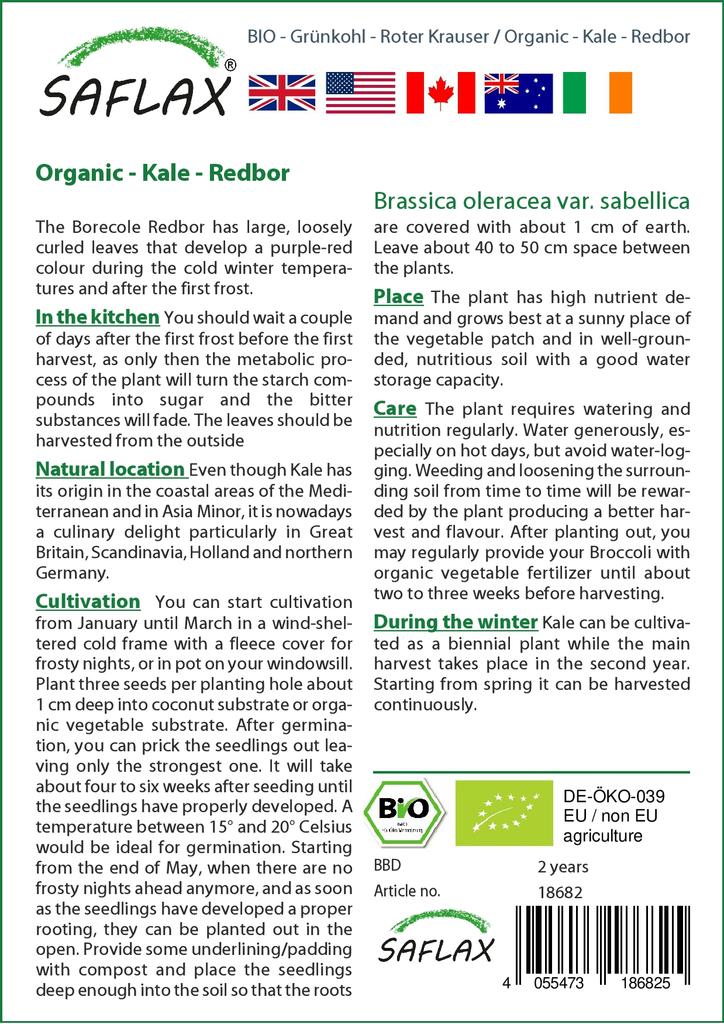 SAFLAX Garden in the Bag - Organic - Капуста - Redbor - 50 семян - С субстратом в подходящем стоячем пакете - Brassica oleracea