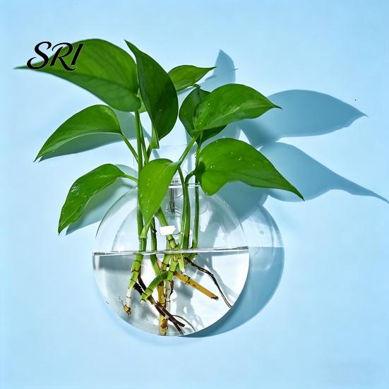 Decorative Wall Planter Hanging Glass Clear Flower Vase for Hydroponics Plants Greenery Home Decor Mount Terrarium Propagation Station Bathroom Office
