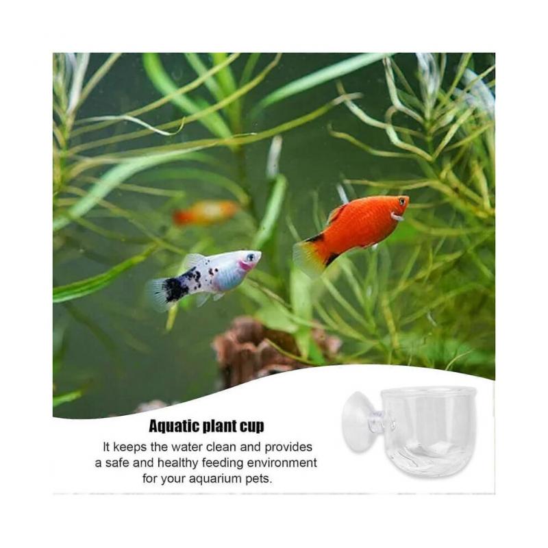 Aquarium Red Worm Fish Feeder Glass Plant Cup for Live Plants Strong Suction 45mm