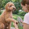 Adjustable Strap Pet Claw Grinder Elastic Dog Scratch Pad  Pet Grooming Cleaning