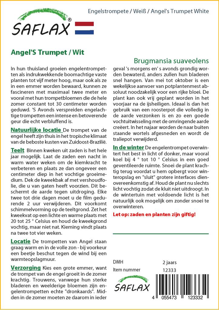 SAFLAX Angel's Trumpet White - 10 семян - Brugmansia suaveolens