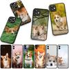 Чехол для Xiaomi Poco F7 F6 F8 Ultra F5 X7 X6 X5 X3 NFC M7 M6 Pro C85 C75 C65 C71 C61 Чехол для телефона Собака Питомец Корги Обои