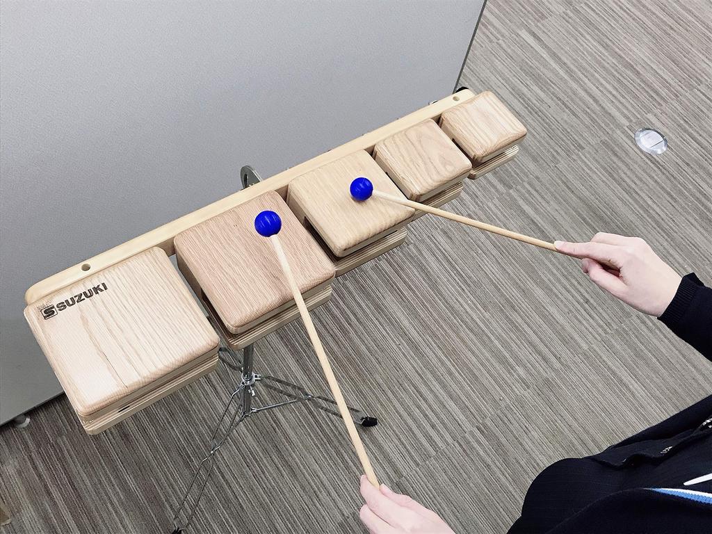 SUZUKI Темпл Блок STE-510