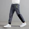 Korean Style Boys' Anti-Mosquito Sports Pants - Spring/Autumn 2024