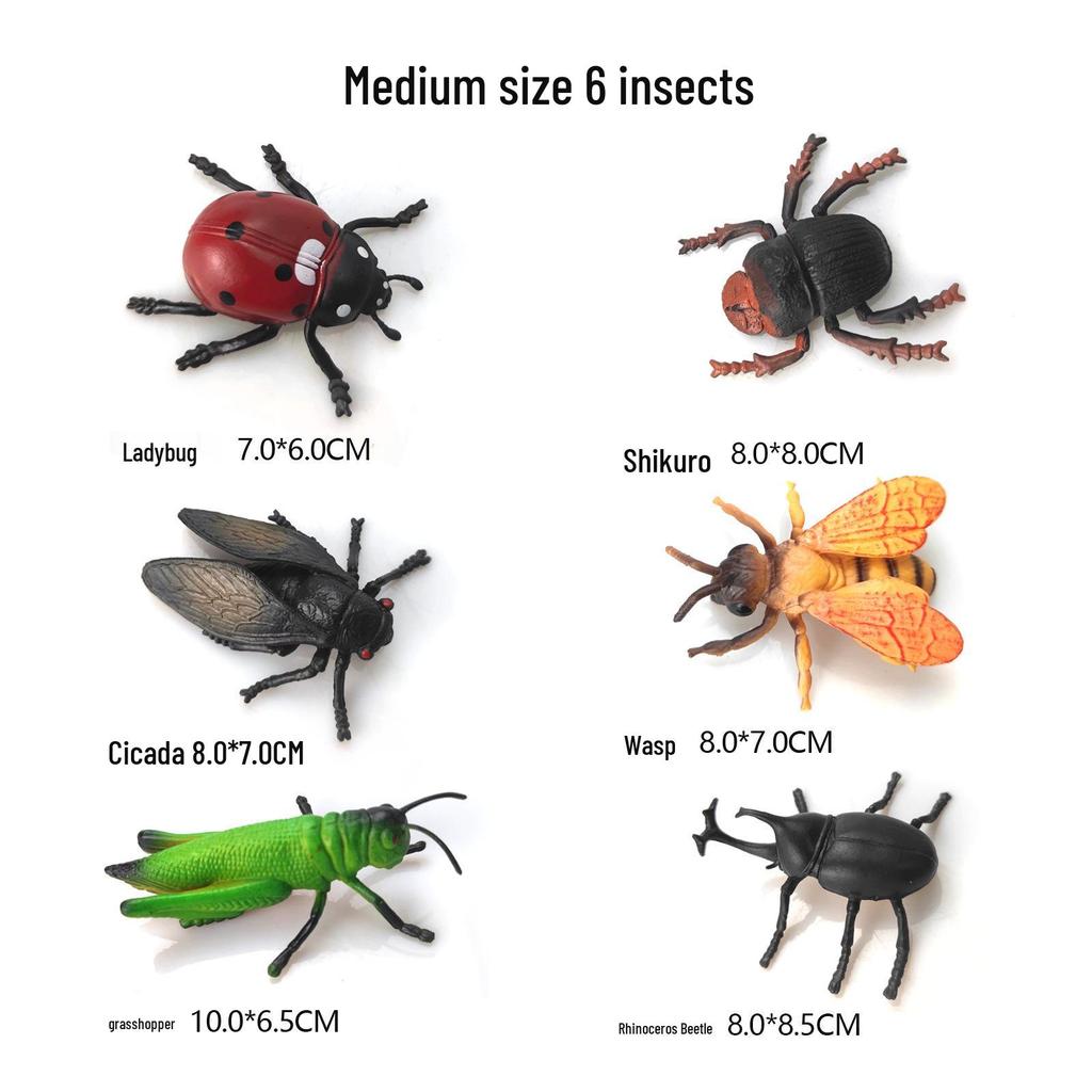 Children's Educational Insect Model Toys: Butterfly, Ladybug, Beetle, Bee, and Grasshopper