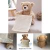 Cute Talking Teddy Bear Plush Toy 35cm Height Rechargeable Shy Face Battery Operated