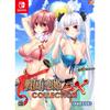 Sengoku Koihime Ex Collection  Completely Limited Edition -switch [bonus] Newly Drawn Acrylic Ornament  Uses Limited Edition Package Illustration , Se