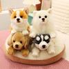 Simulation Pet Husky Corgi Plush Toy Cute Cartoon Animal Labrador Stuffed Doll Home Decor Gifts For Girl