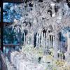 Wedding Decoration Party Supplies Curtain Garland  Beaded Beaded Garlands Crystal Beads