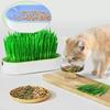 Pet Cat Grass Digestion Growing Tray Starter Dish Greenhouse Cat Germination Nursery Grass Hydr K2J3