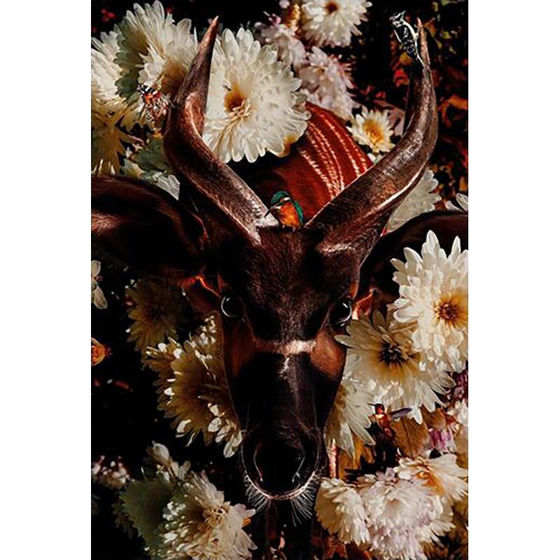 Diy 5D Deer Flower Butterfly Full Round Drill Cartoon Diamond Painting Cross Stitch Kits Art Animal Paint By Diamond Home Decor